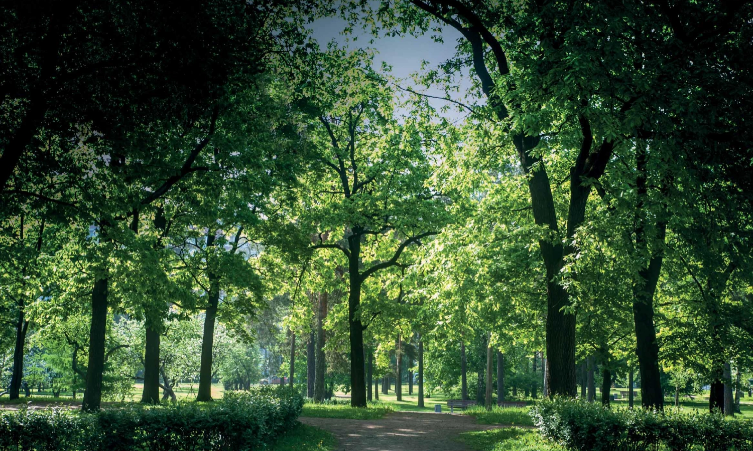 lodha premier dombivli